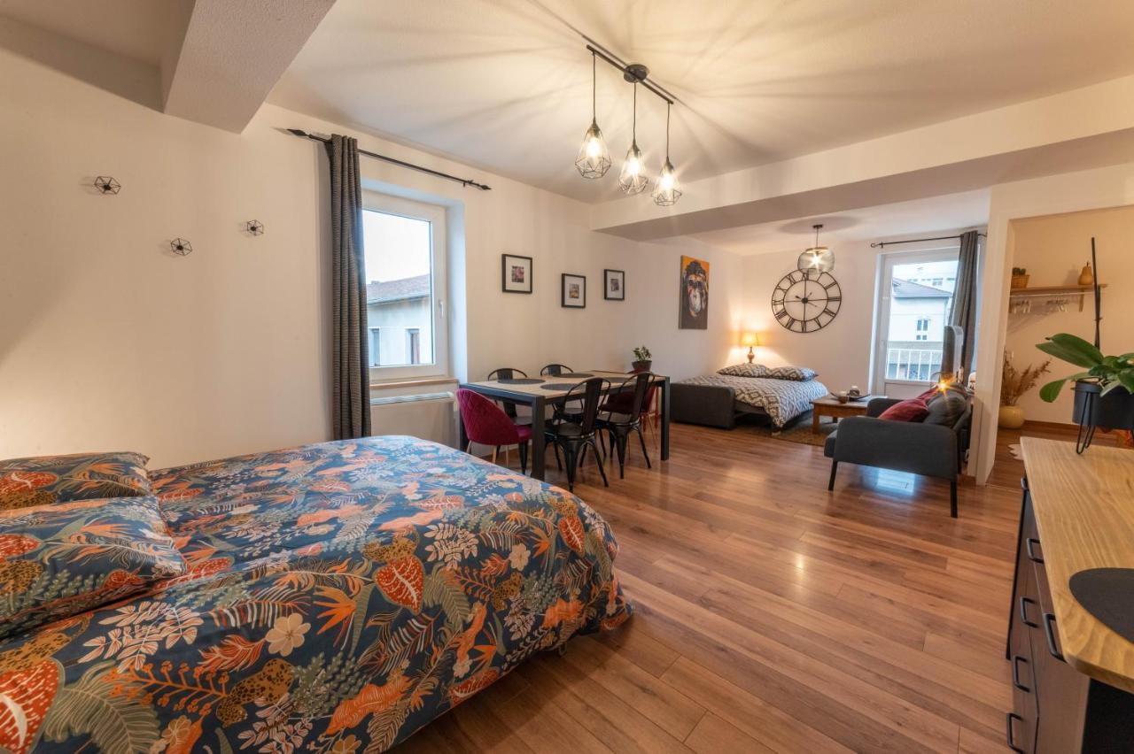 The Eighteen _ Hyper-centre - T3 De 65m² - 8 Pers. Appartement Voiron